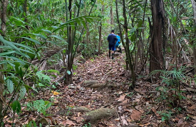 Excursión a la selva de Corcovado - Foto 4