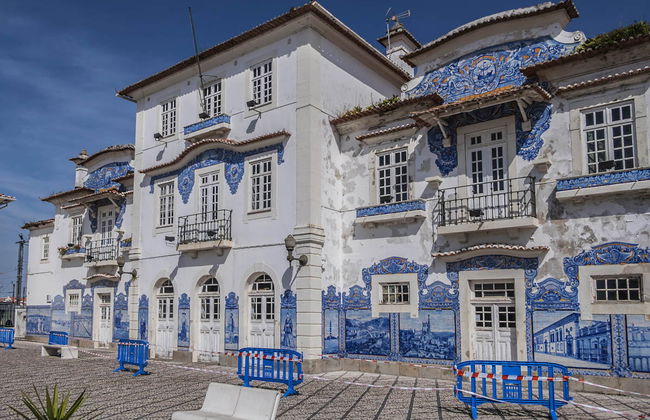 Tour pela Costa Nova + Salinas + Passeio de barco moliceiro - Foto 1