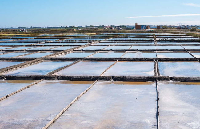 Costa Nova, Aveiro Salt Flats & Moliceiro Cruise - Foto 1