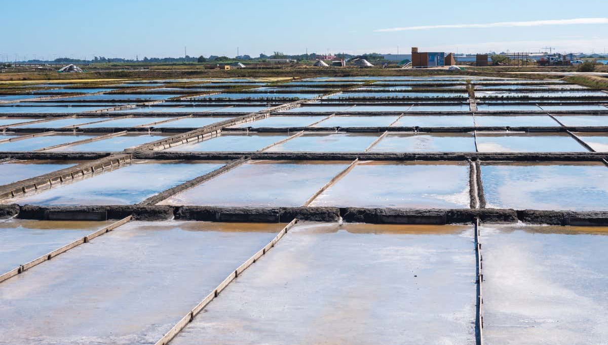 Tour di Costa Nova + Saline + Giro in moliceiro - Foto 1