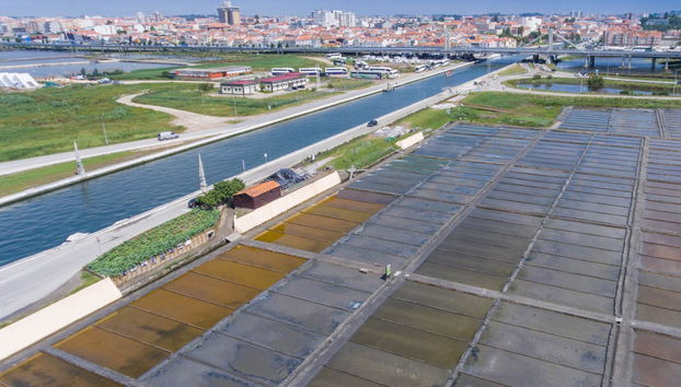 Costa Nova, Aveiro Salt Flats & Moliceiro Cruise - Foto 2