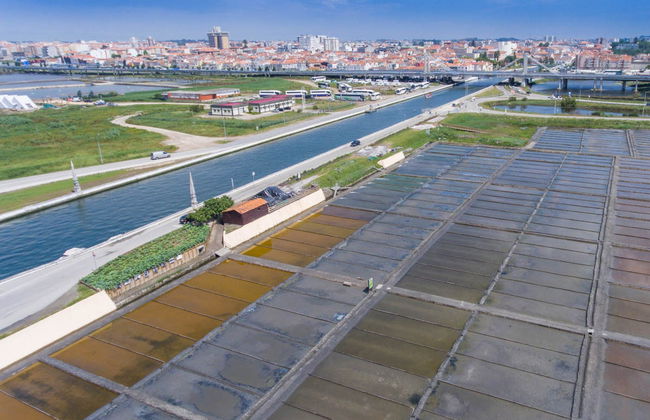 Costa Nova, Aveiro Salt Flats & Moliceiro Cruise - Foto 2