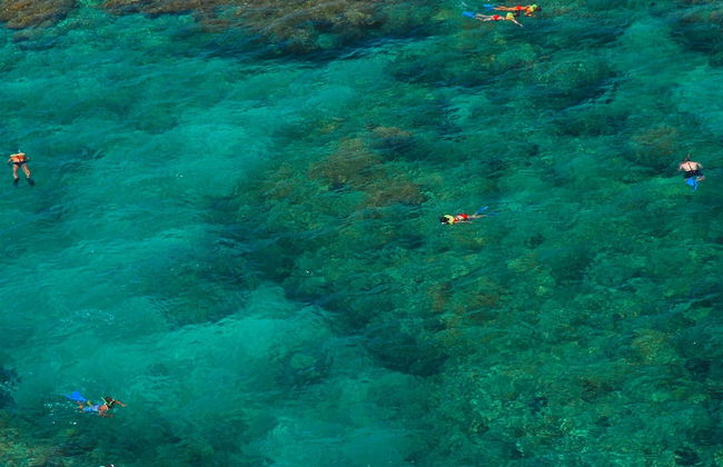 Snorkel em Key West - Foto 5
