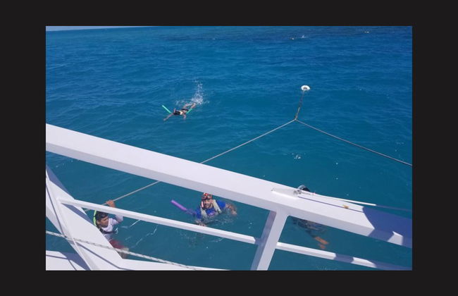 Snorkeling Trip in Key West - Photo 6