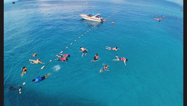 Snorkeling Trip in Key West - Foto 2
