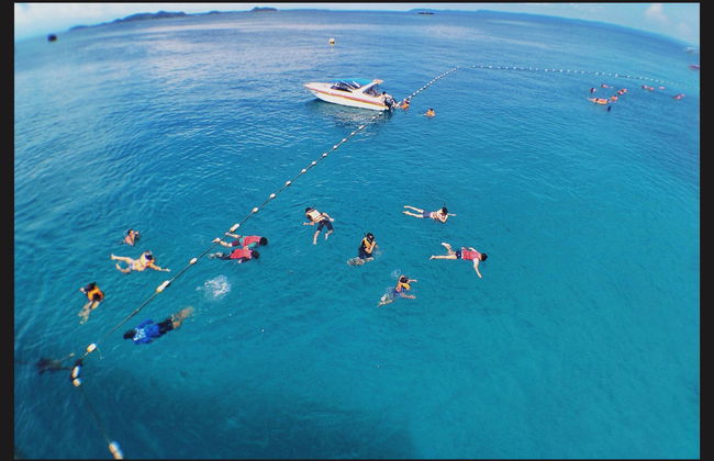 Snorkeling Trip in Key West - Photo 2