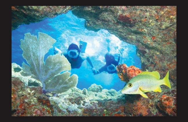 Snorkel em Key West - Foto 2