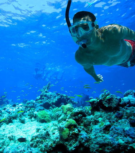 Foto de Snorkel en Cayo Hueso