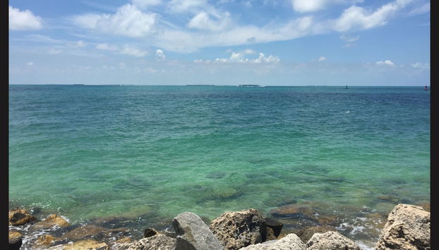 Snorkeling Trip in Key West - Foto 4