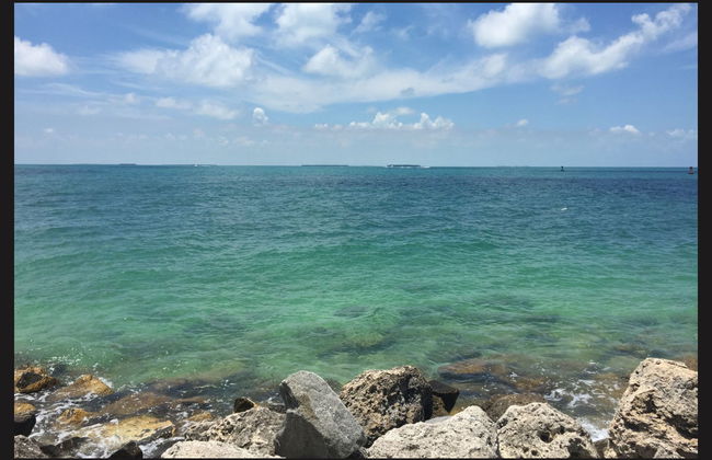 Snorkeling Trip in Key West - Photo 4