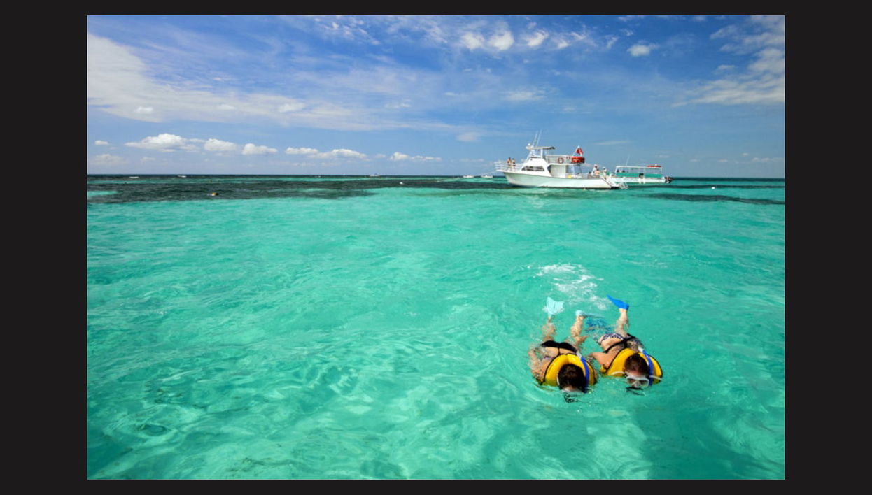 Snorkeling Trip in Key West - Foto 1