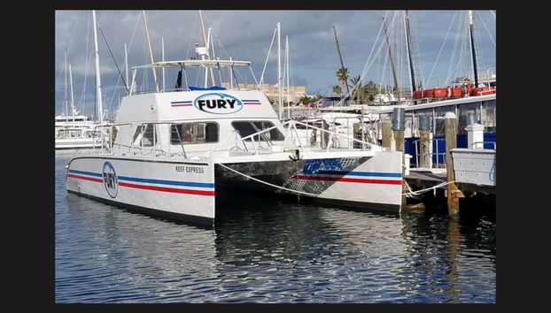 Snorkeling Trip in Key West - Foto 5