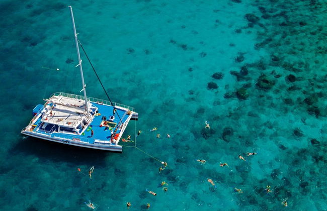 Snorkel em Key West - Foto 4