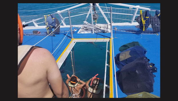 Snorkeling Trip in Key West - Foto 3