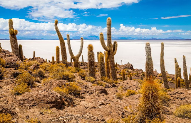 Excursión al salar de Uyuni - Foto 4