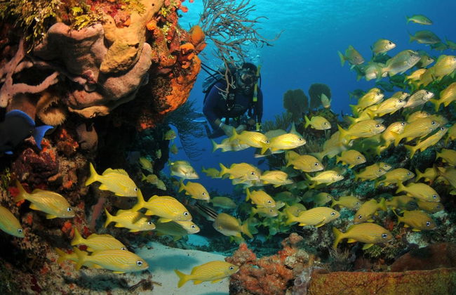 Bautismo de buceo en Búzios - Foto 5