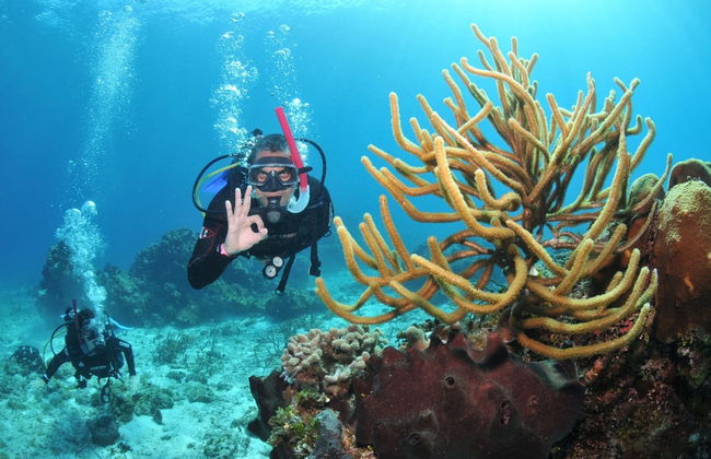Bautismo de buceo en Búzios - Foto 2