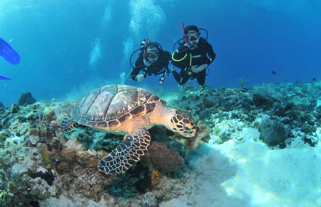 Bautismo de buceo en Búzios - Foto 4