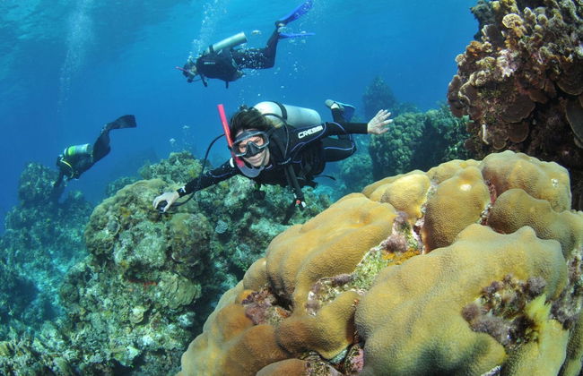 Bautismo de buceo en Búzios - Foto 3