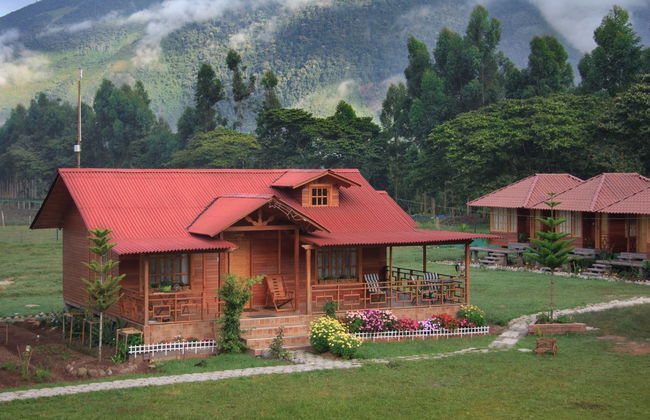 Day Trip to Oxapampa - Photo 6