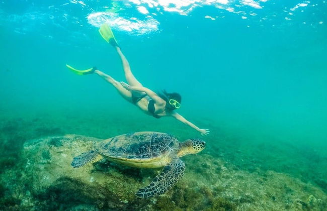 Tour de Fernando de Noronha al completo - Foto 6