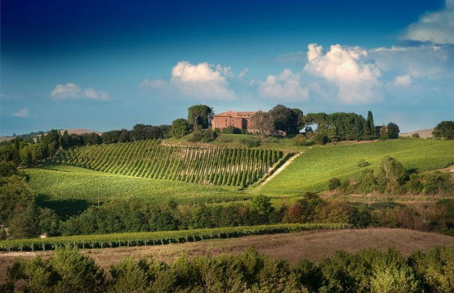 Degustação de vinhos em Montalcino - Foto 2
