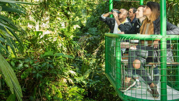 Rainforest Atlantic Adventure Park Visit - Foto 5