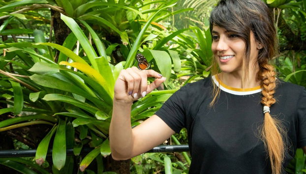 Rainforest Atlantic Adventure Park Visit - Foto 3