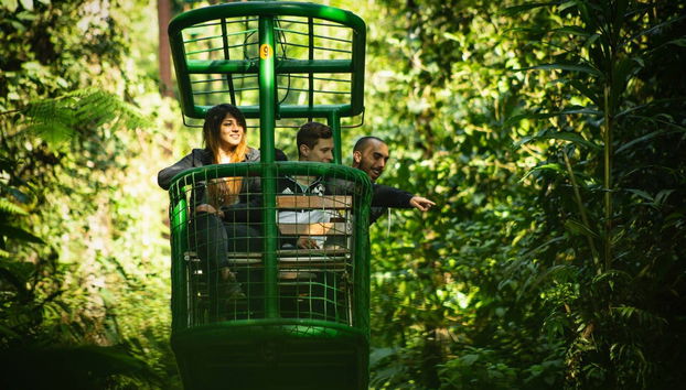 Rainforest Atlantic Adventure Park Visit - Foto 2