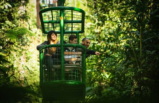 Rainforest Atlantic Adventure Park Visit - Foto 2