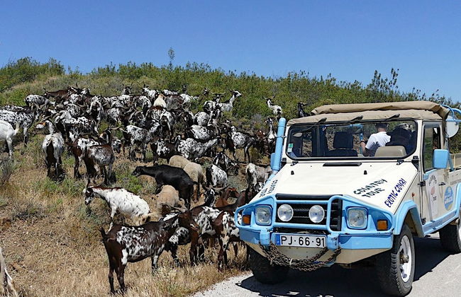 Tour de 4x4 pelos povoados do Guadiana - Foto 3