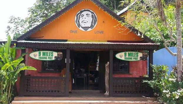 Tour de Bob Marley + Cascadas del río Dunn y Laguna Luminosa - Foto 2