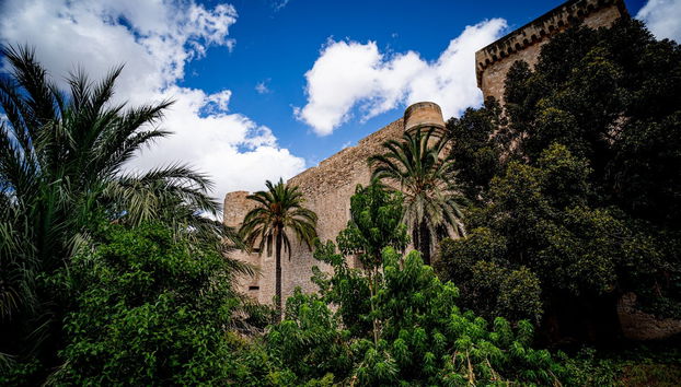 Free tour por Elche - Foto 5