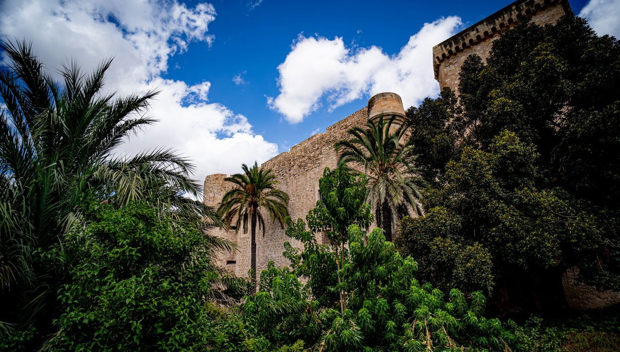 Free tour dans Elche - Photo 1