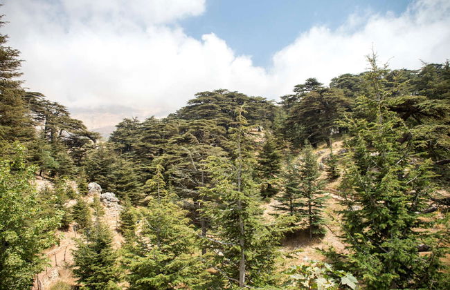 Excursión privada desde Beirut - Foto 7