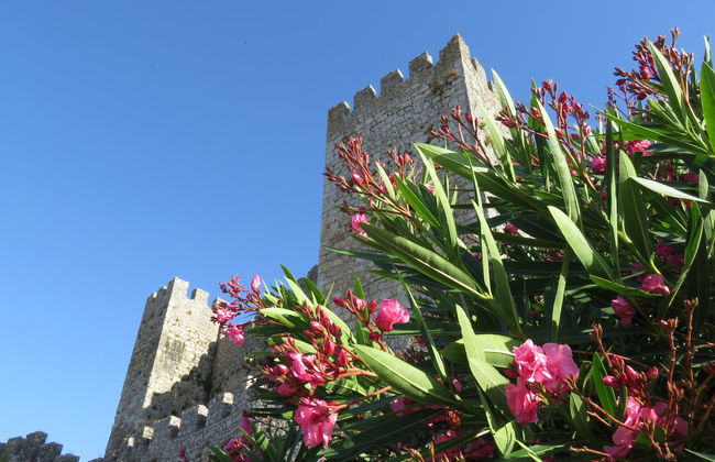 Excursión a Figueira da Foz - Foto 7