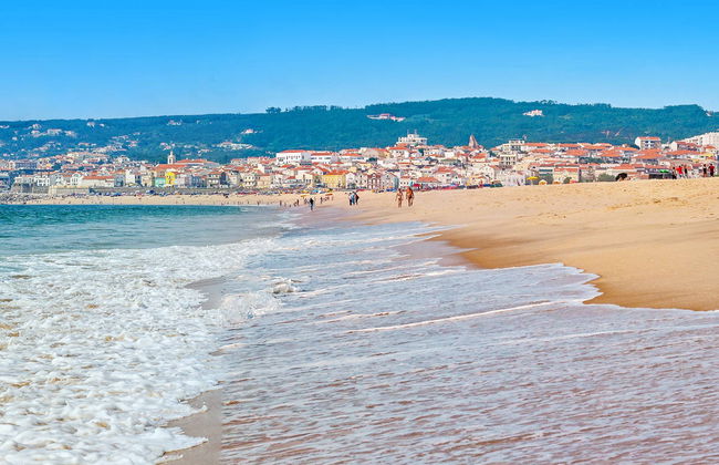 Excursión a Figueira da Foz - Foto 1