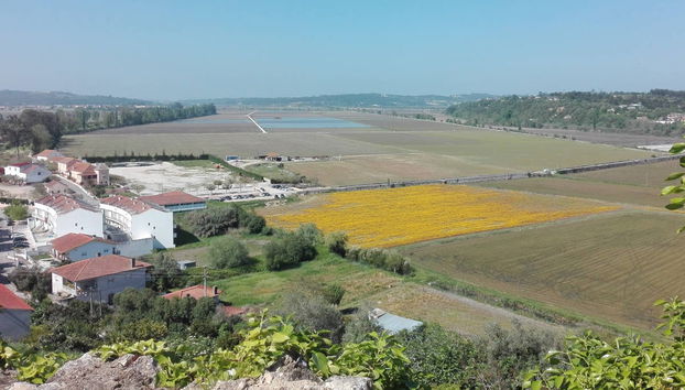 Figueira da Foz Tour - Foto 3