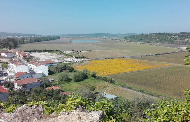 Excursión a Figueira da Foz - Foto 3
