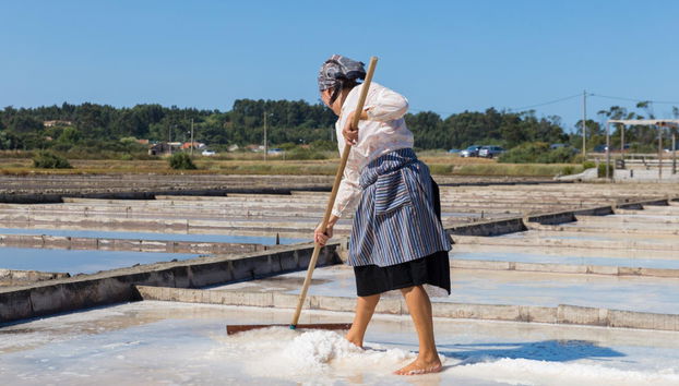 Figueira da Foz Tour - Foto 2