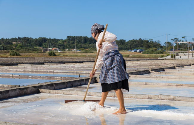 Excursión a Figueira da Foz - Foto 2