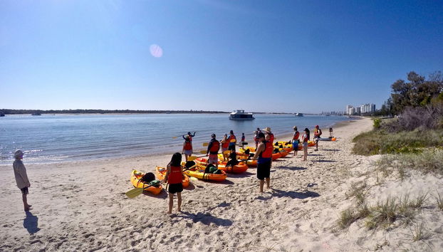 Tour en kayak + Snorkel en Gold Coast - Foto 2