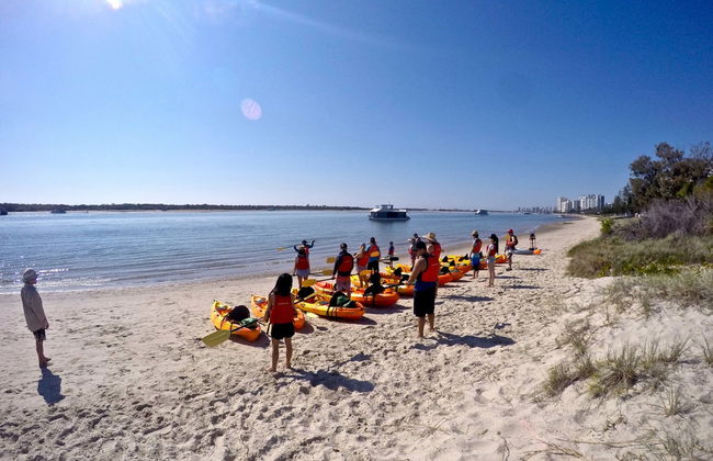 Kayak and Snorkel Dolphin-Watching Tour - Foto 2