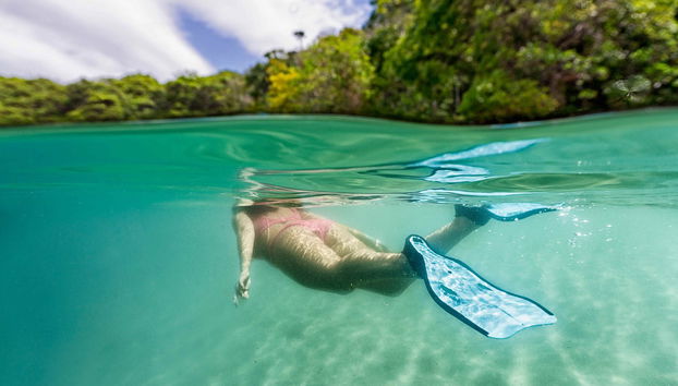 Tour de caiaque + Snorkel na Gold Coast - Foto 2