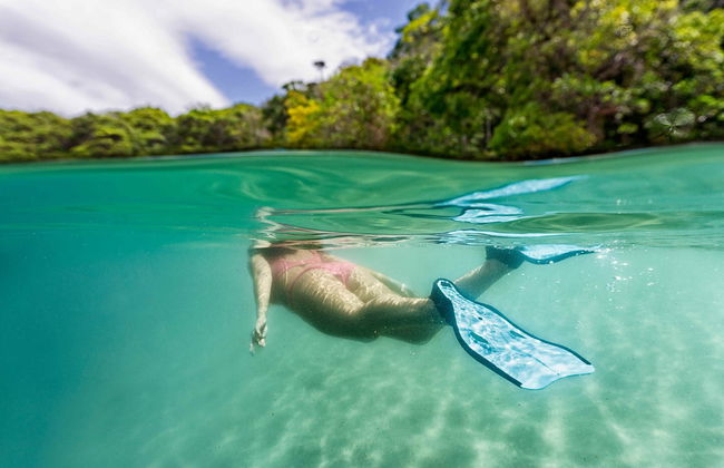 Kayak and Snorkel Dolphin-Watching Tour - Photo 2