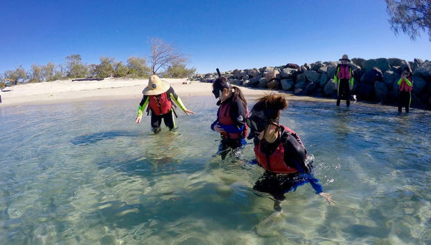 Tour en kayak + Snorkel en Gold Coast - Foto 5