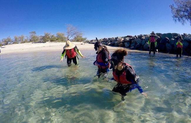 Kayak and Snorkel Dolphin-Watching Tour - Foto 5