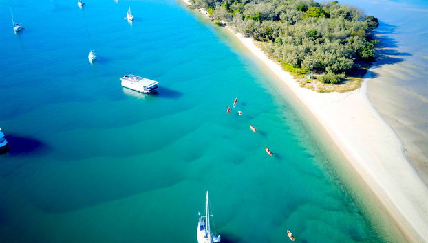 Kayak and Snorkel Dolphin-Watching Tour - Foto 3
