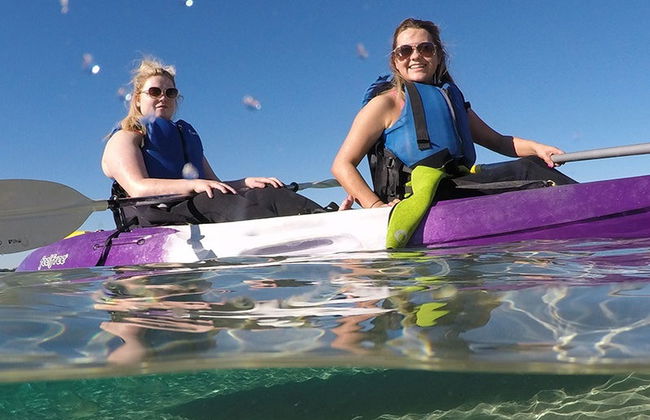 Kayak and Snorkel Dolphin-Watching Tour - Foto 6