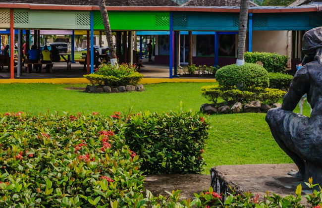 Ocho Rios & Dunn's River Falls Tour - Foto 1